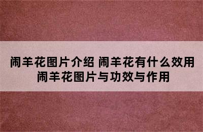 闹羊花图片介绍 闹羊花有什么效用 闹羊花图片与功效与作用